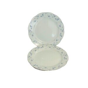 Premiere Blue Dawn ME113 Salad Plates 8” Set of 2 Blue Floral Platinum Trim
